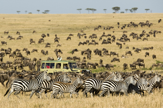 Tanzania National Parks safari